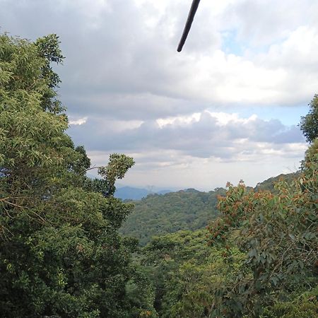 Posadamanduka Eco-Hostel Villavicencio Eksteriør bilde