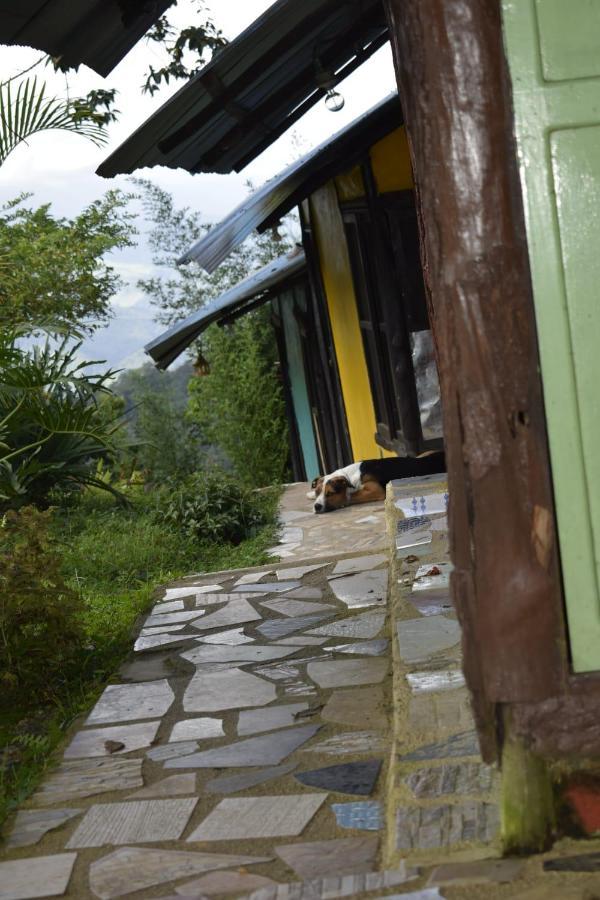 Posadamanduka Eco-Hostel Villavicencio Eksteriør bilde