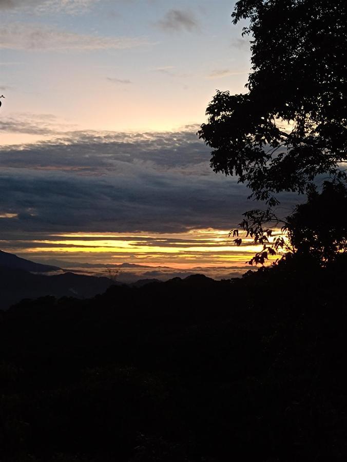 Posadamanduka Eco-Hostel Villavicencio Eksteriør bilde